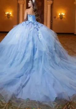 Vizcaya Quinceanera 4080020