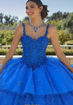Vizcaya Quinceanera 89428