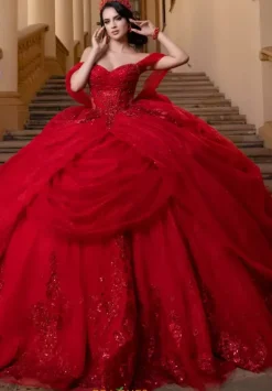 Vizcaya Quinceanera 4080019