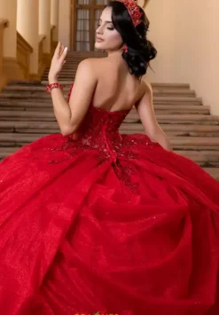 Vizcaya Quinceanera 4080019