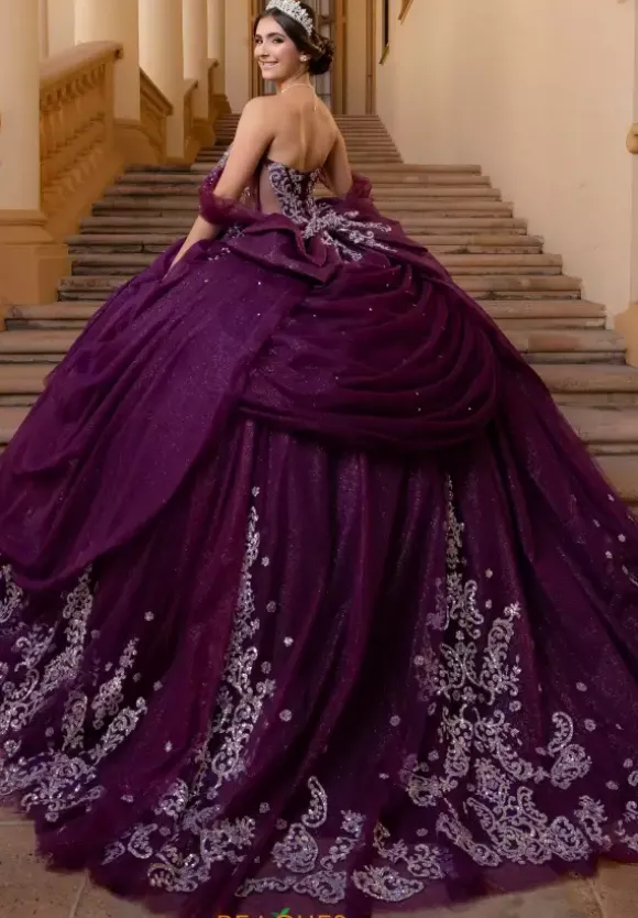 Vizcaya Quinceanera 4080019