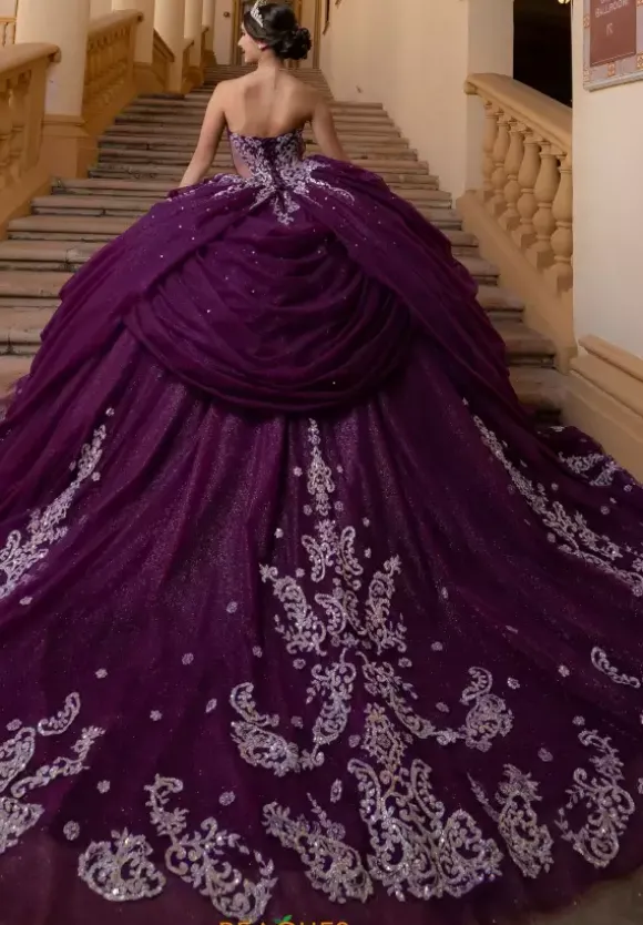 Vizcaya Quinceanera 4080019
