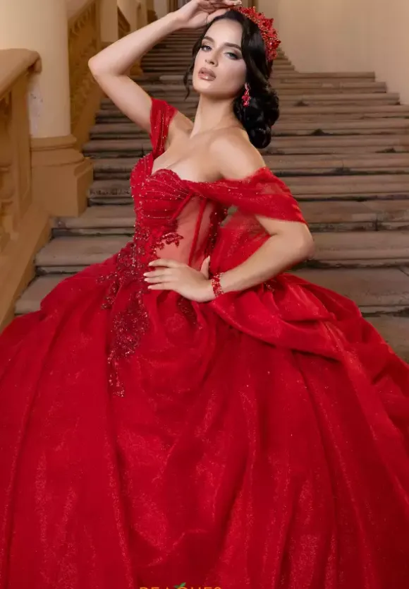 Vizcaya Quinceanera 4080019