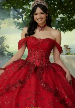 Vizcaya Quinceanera 34103